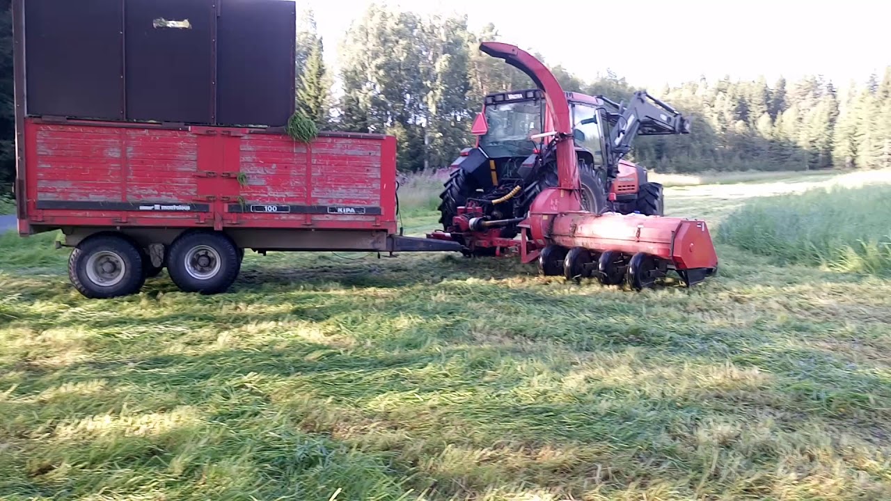 Rehuntekoa 2017