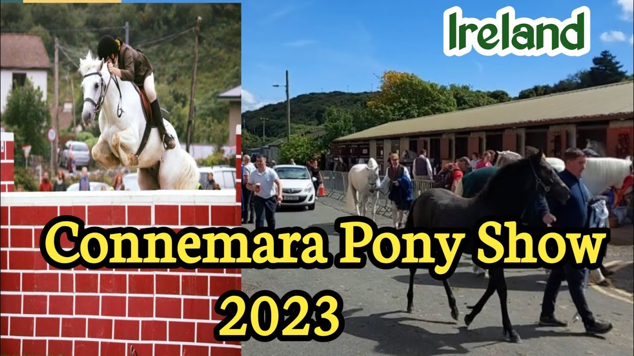 #Connemara Pony Show 2023