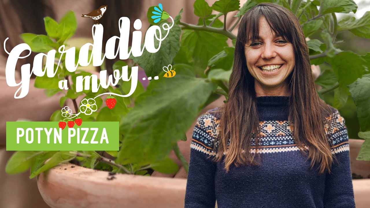Garddio a Mwy | Potyn Pizza