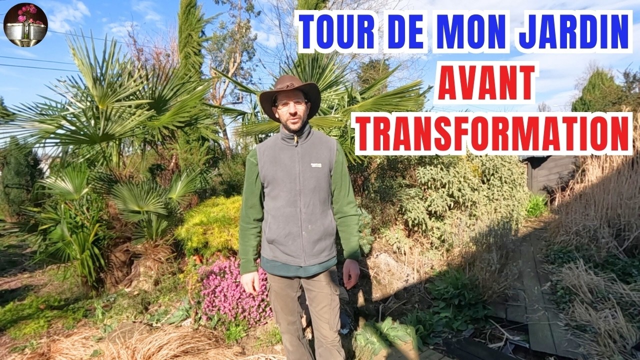Jardin avant transformation, explication et découverte de plantes rares 