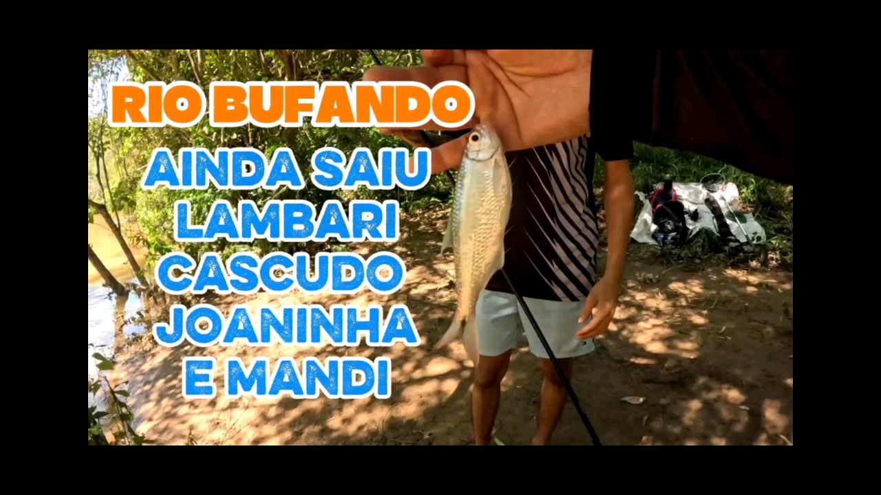 RIO ATIBAIA BUFANDO! MESMO ASSIM SAIU UNS BRUTOS NA PONTA DA LINHA. O RIO DEPOIS DAS CHUVAS!!