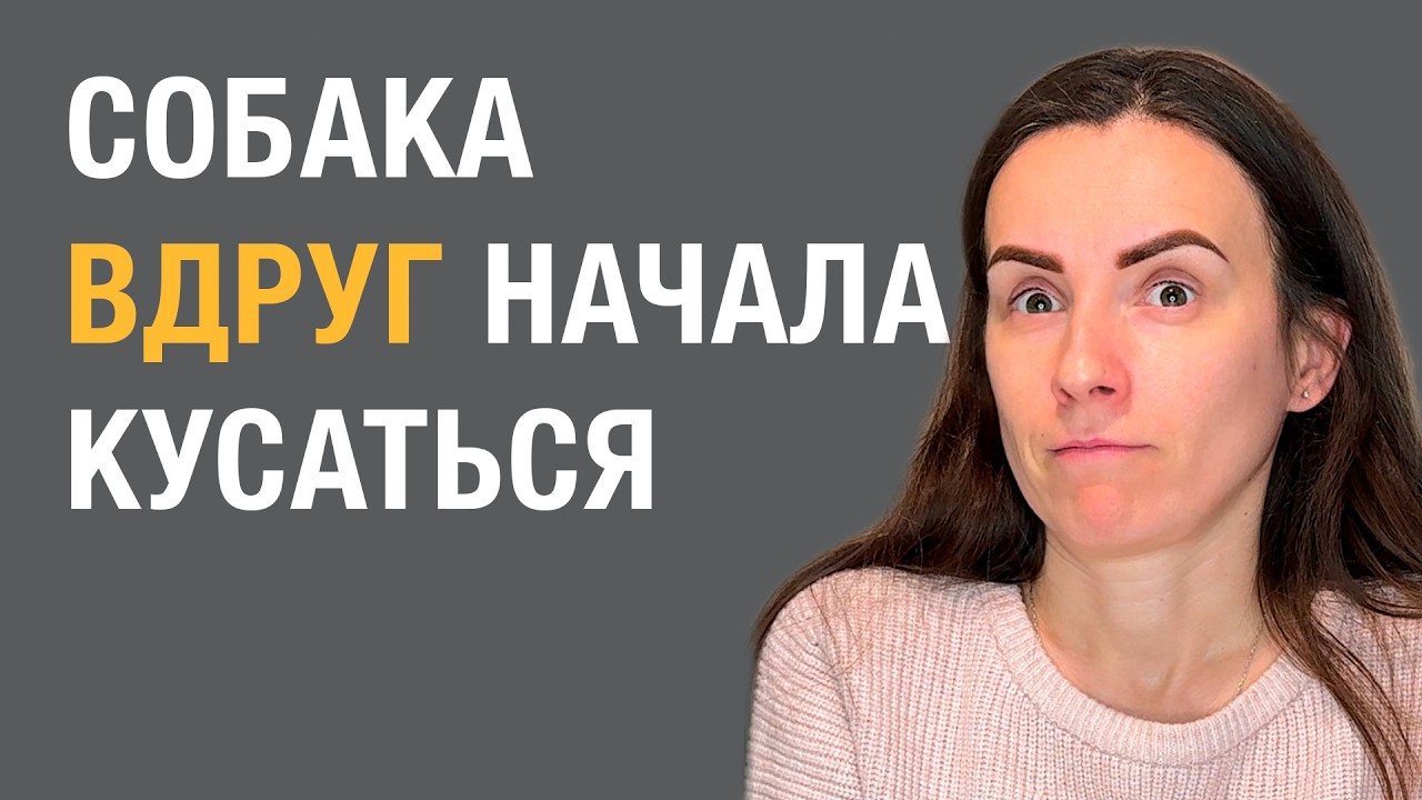 Почему добрая собака вдруг начинает кусаться