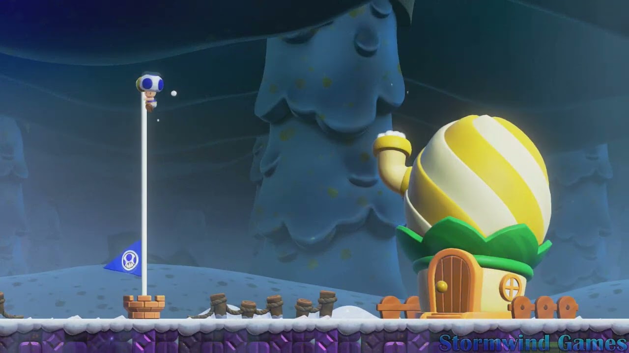 Super Mario Bros Wonder - 2 Players - 100% Playthrough Part 24 - Special World | Stormwind Games
