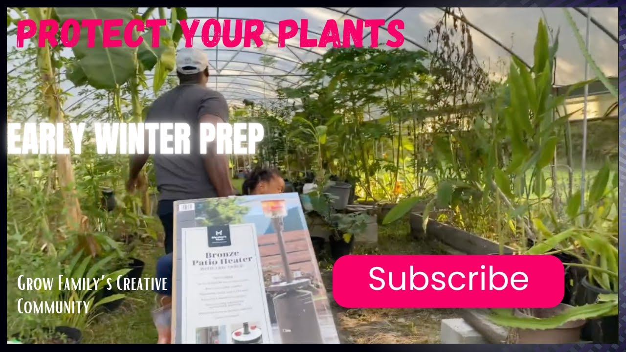 What you Need to Grow Tropicals through Cold Temperatures 🌴🥶☃️