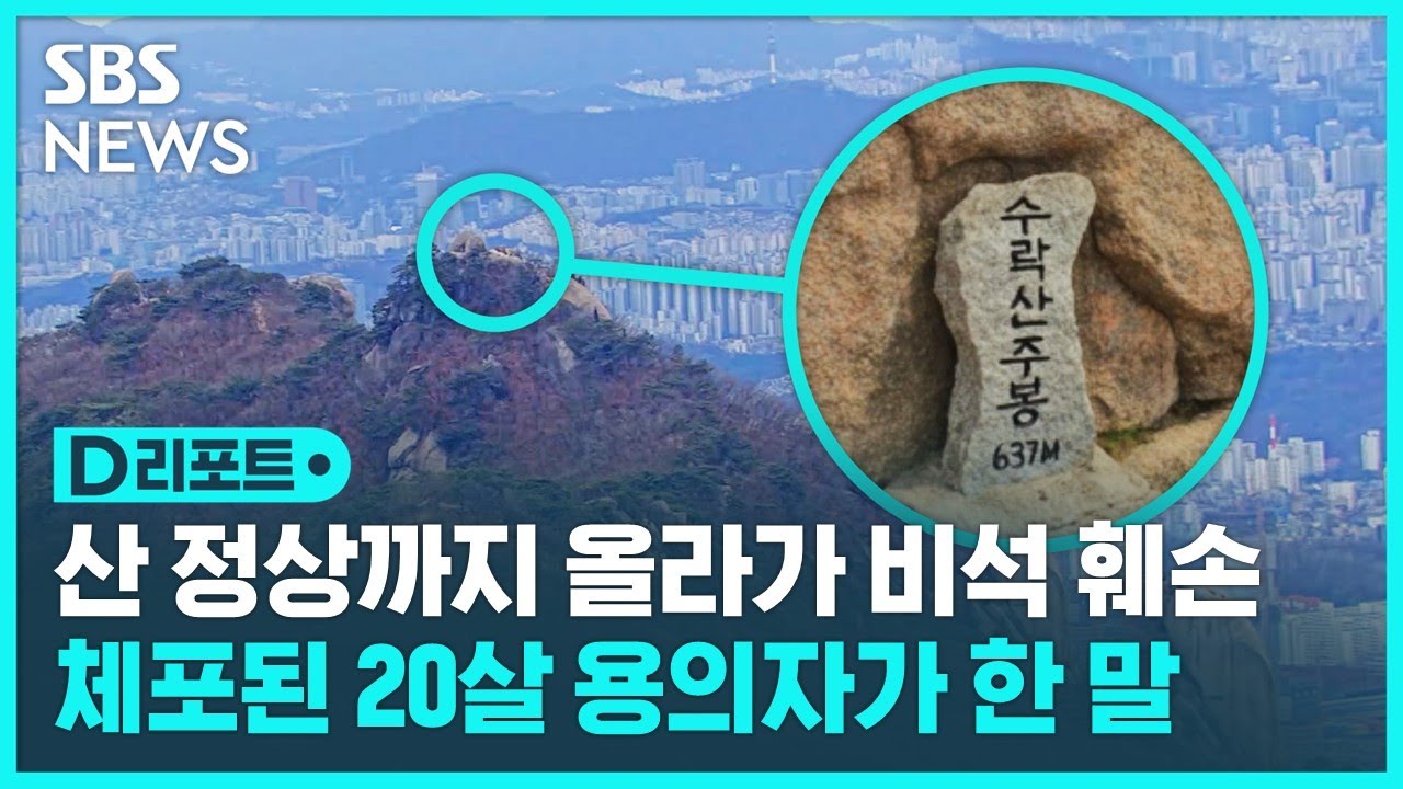 산 정상까지 올라가 비석 훼손&hellip;붙잡힌 20대 용의자가 한 말 / SBS / #D리포트