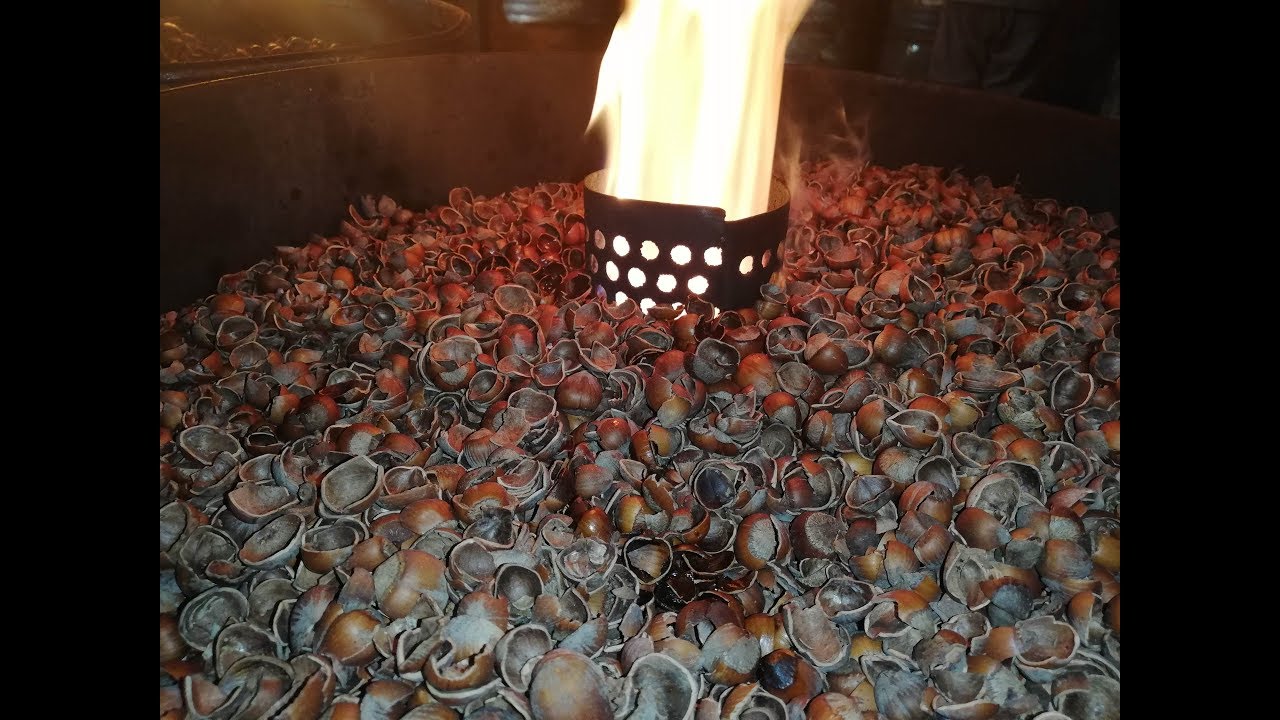 Fındık kabuğundan mangal kömürü üretiyor