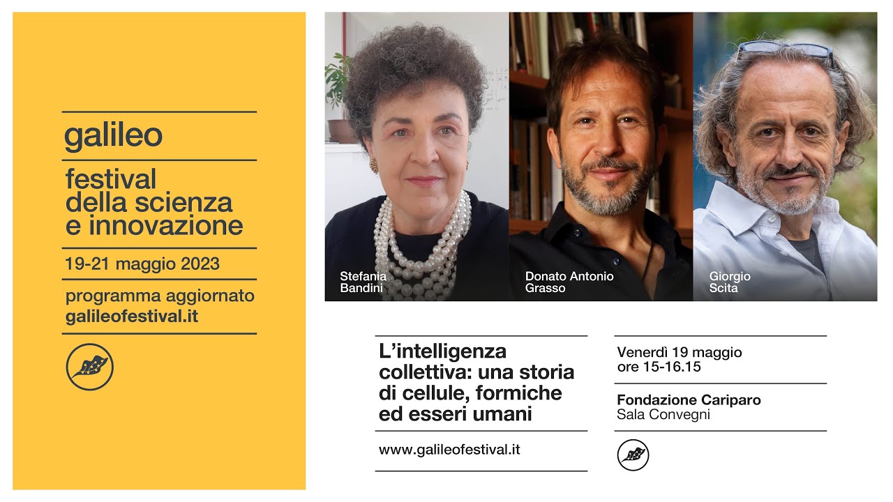 L’INTELLIGENZA COLLETTIVA: UNA STORIA DI CELLULE, FORMICHE ED ESSERI UMANI