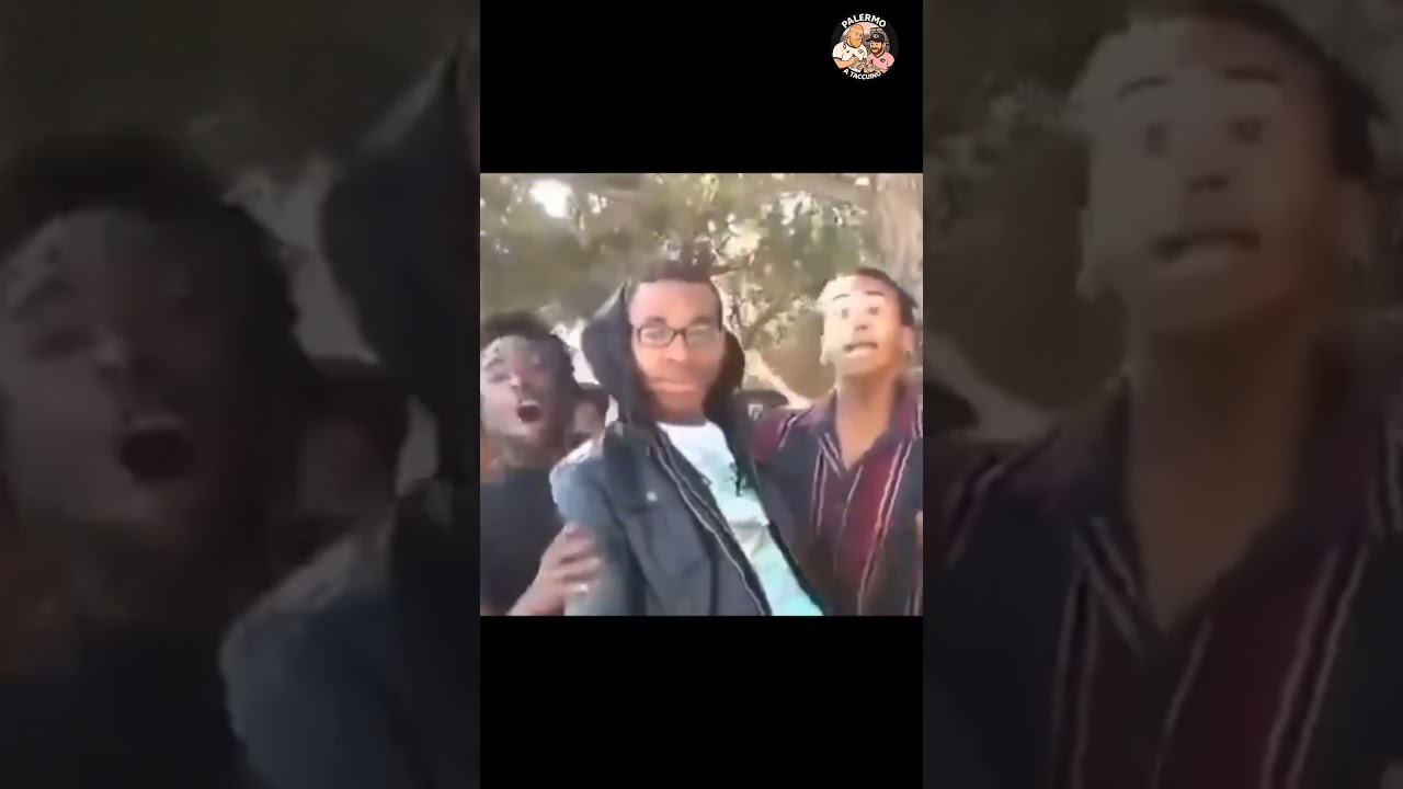 Sei un tifoso del Palermo semplice, meme react. Stasera ore 