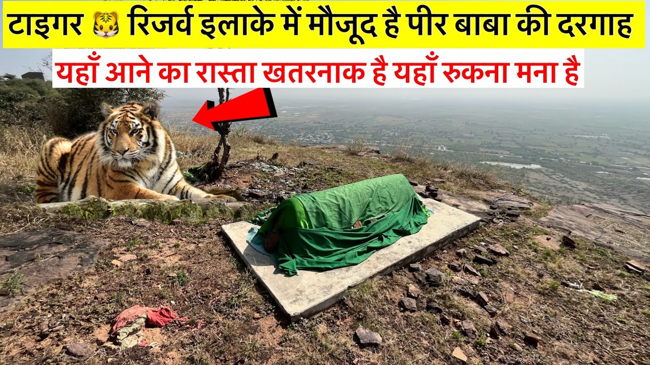 Tiger ke area me Pir Baba ki Dargah 😱 Khaufnaak Jungle ka Safar 🐅 जंगल के बीच बसी रहस्यमयी  दरगाह