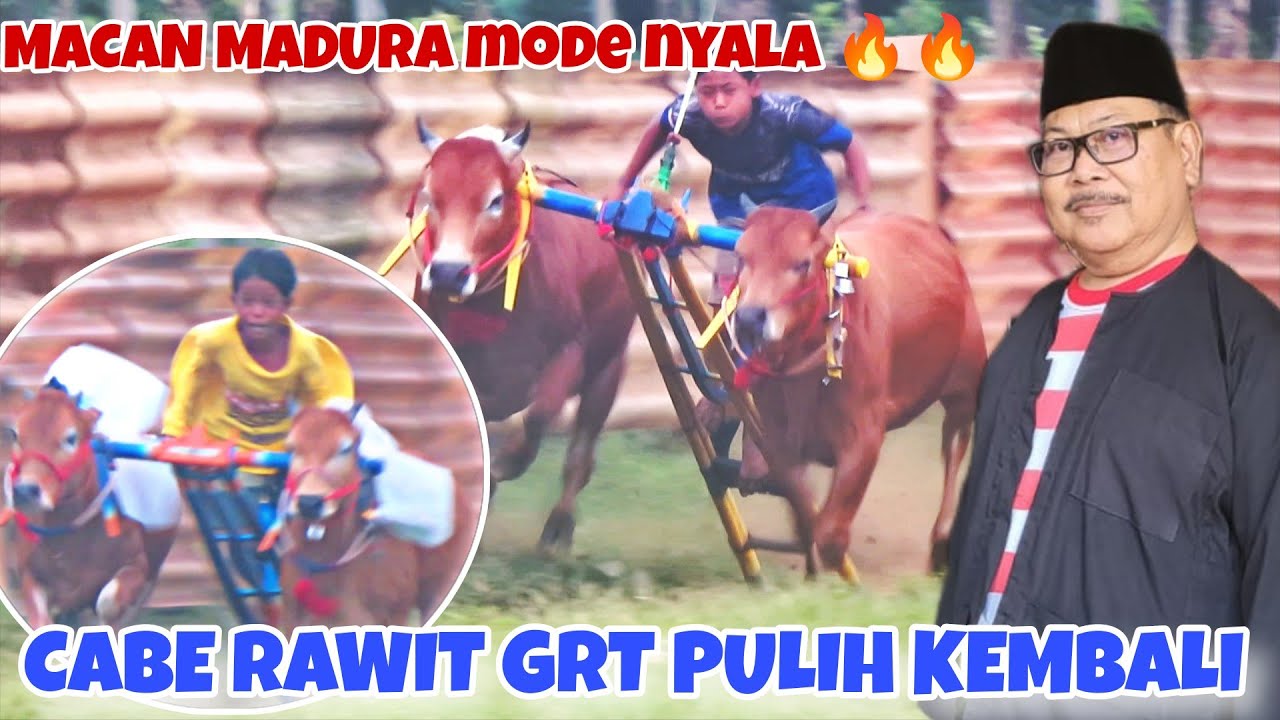 SANG TUAN RUMAH SIAP MENYAMBUT PARA TAMU || ABAH TOHIR MANTAU LANGSUNG TREN GRT JAWA 🔥🔥