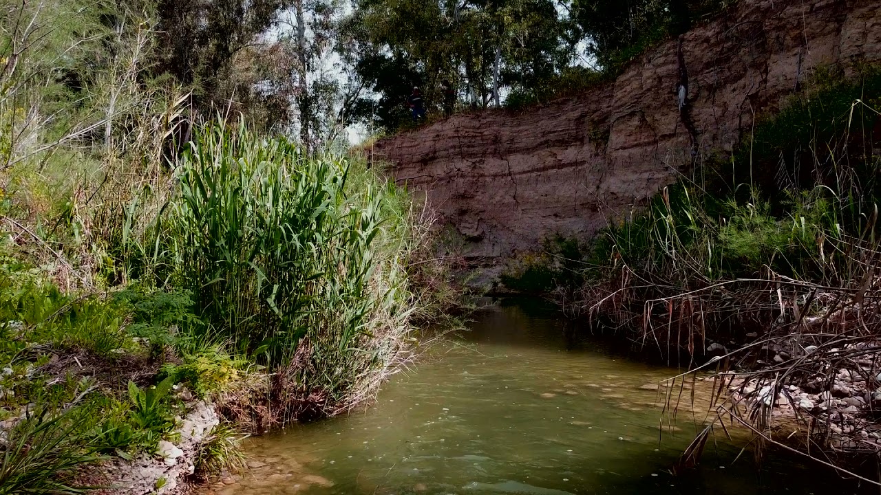 Parajes Naturales de Higuera de Calatrava (Jaén)