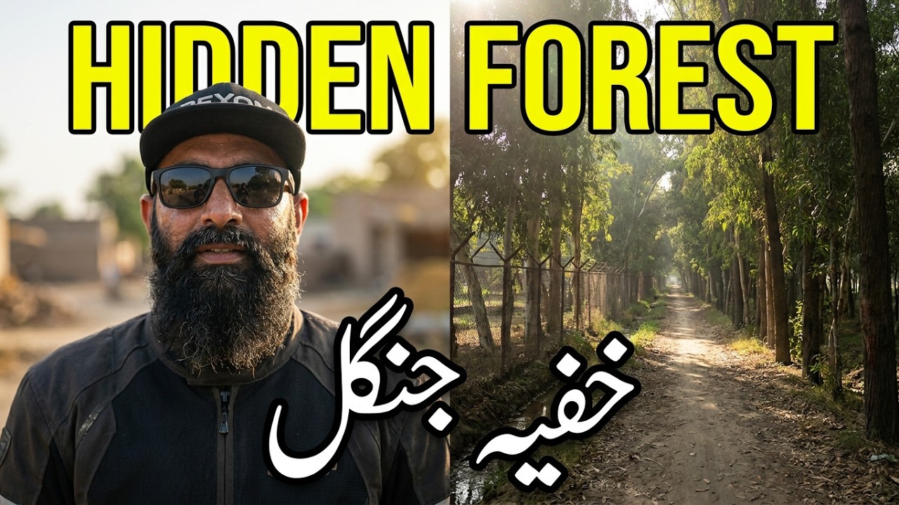 Hidden Forest In Hyderabad | Miyani Forest | A Secret Green Escape of Sindh 🇵🇰🌳
