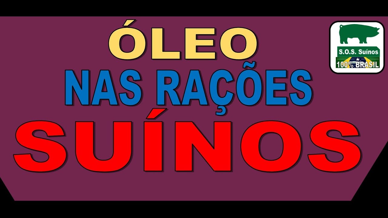 SUINOCULTURA: SOS SUÍNOS - ÓLEO NAS RAÇÕES DE SUINOS