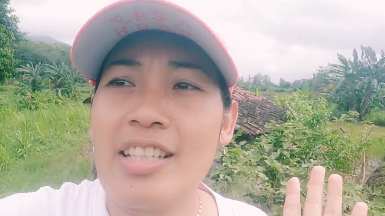 Daily Vlog // Pulang dari Taiwan kuli tandur padi