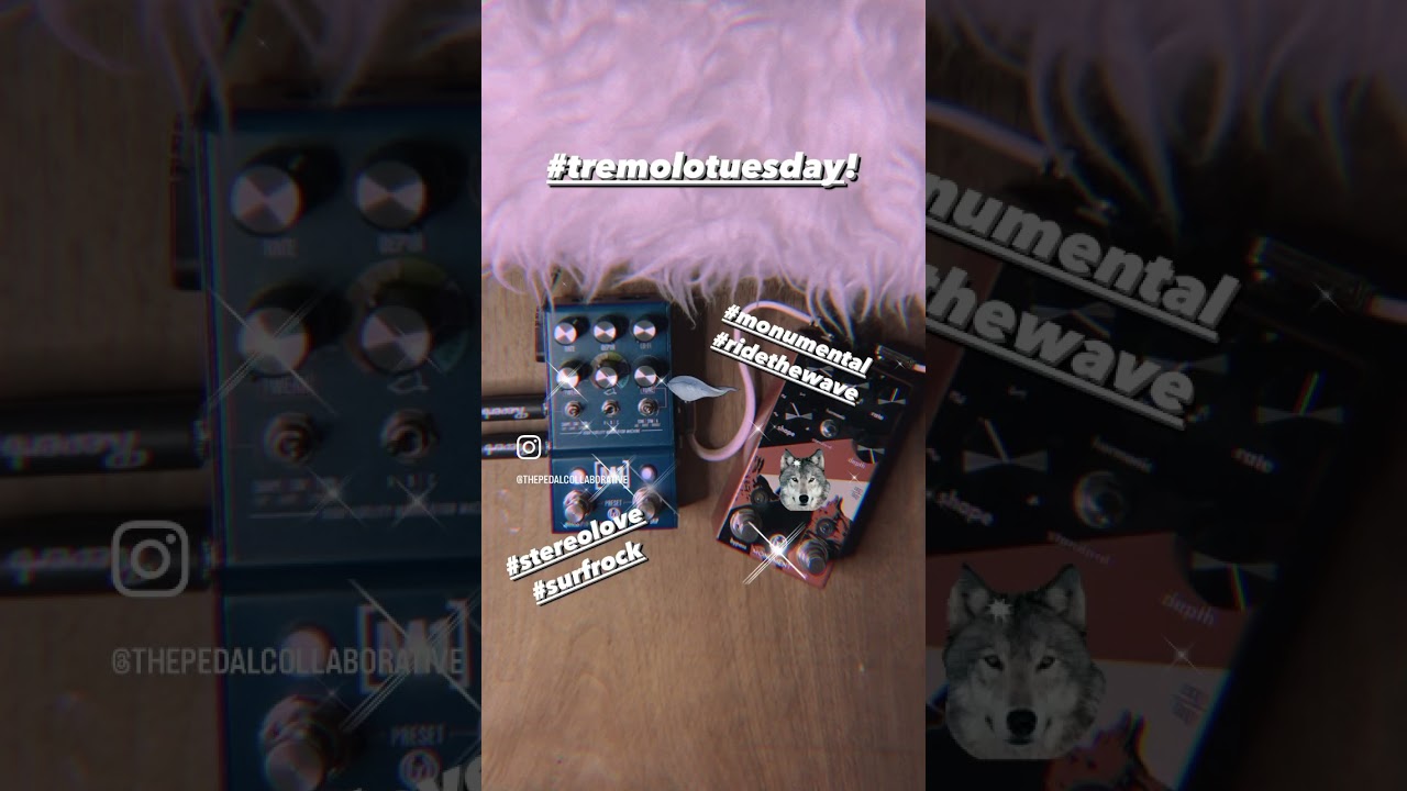 Walrus Tremolo Shootout Part 2: Square 