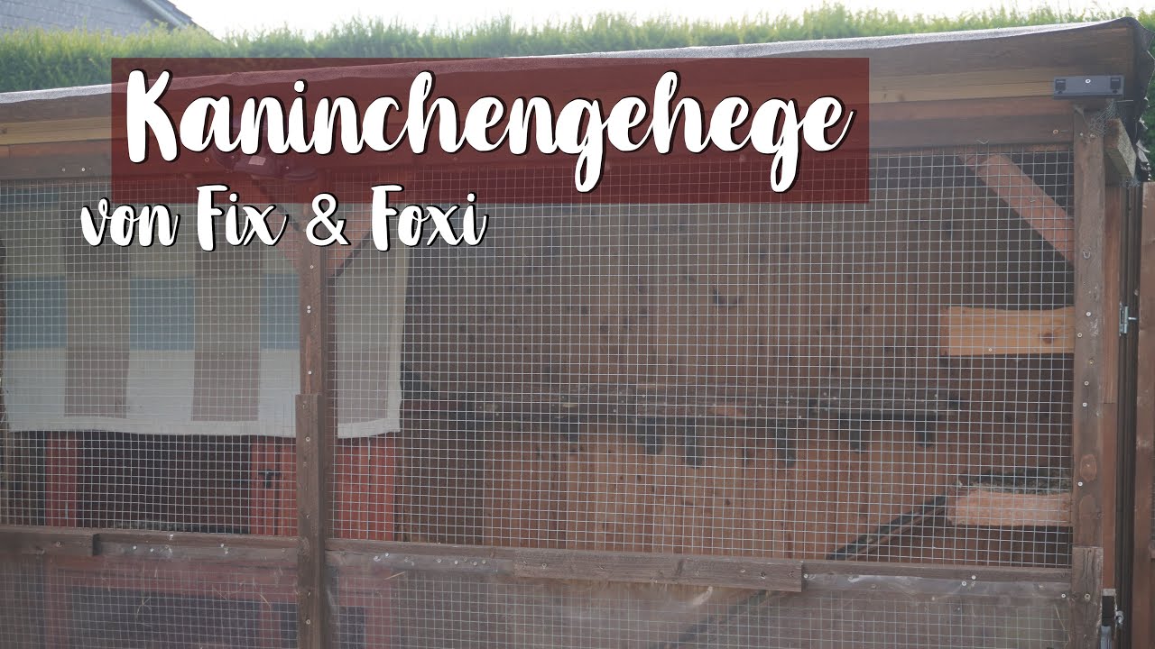 Unser Kaninchengehege im Herbst 2025 🐰🍂