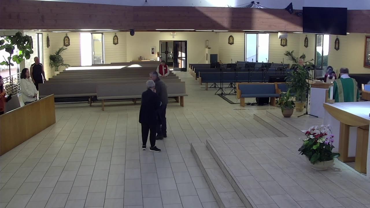 Daily Mass