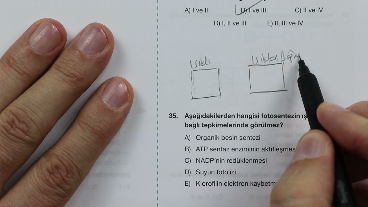 Final Kurumsal Deneme-3 AYT Biyoloji Çözümleri(41.yıl)-Bu geceki dozumuzu almadan uyumayalım