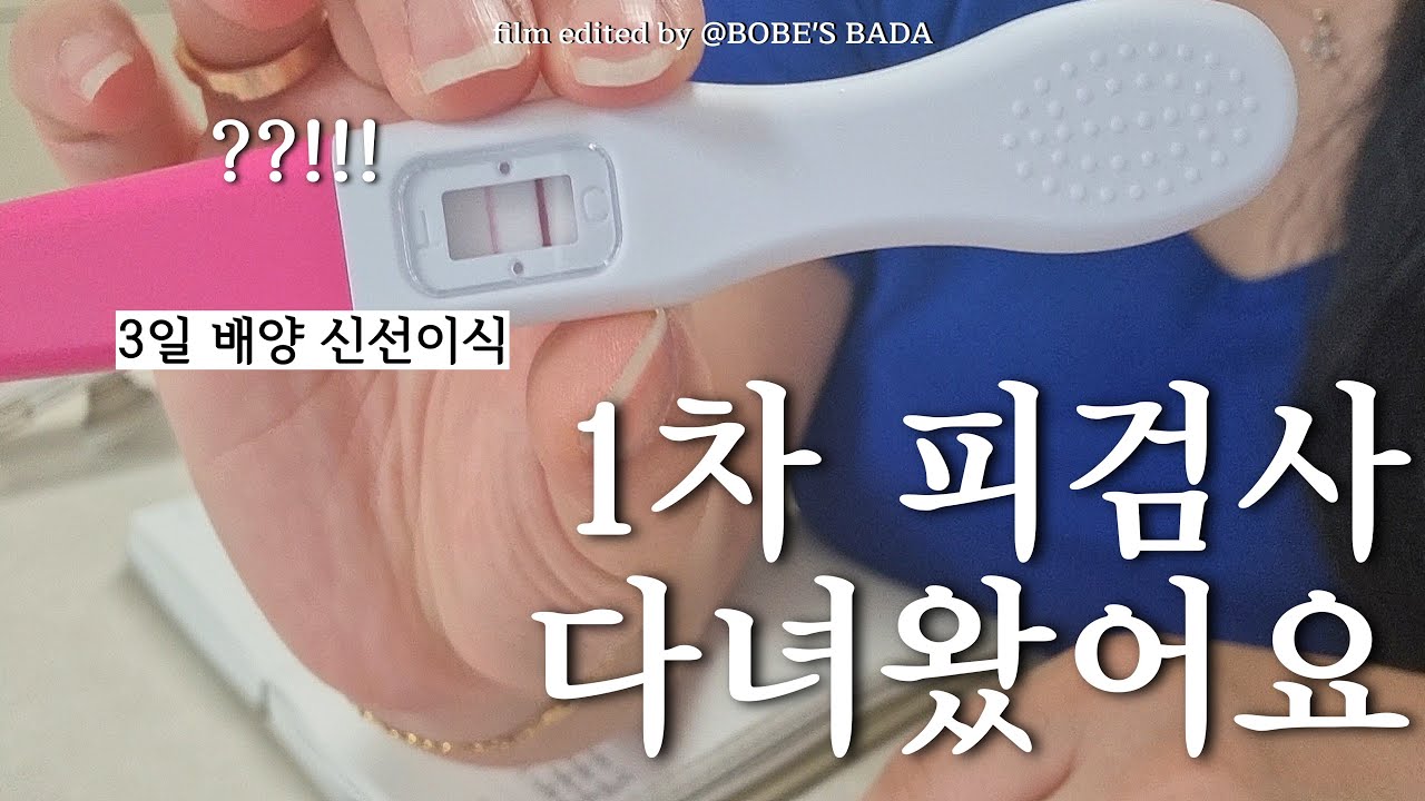 시험관VLOG 1차만에 임신?! 3일배양 신선이식👶🏻1차 피검사 결과💉임테기 두 줄✌🏻