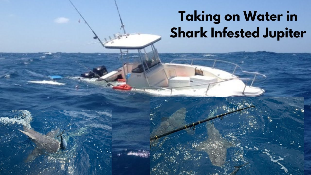 SINKING Boat , SHARK Frenzy and Near Brawl While Commercial Fishing 
