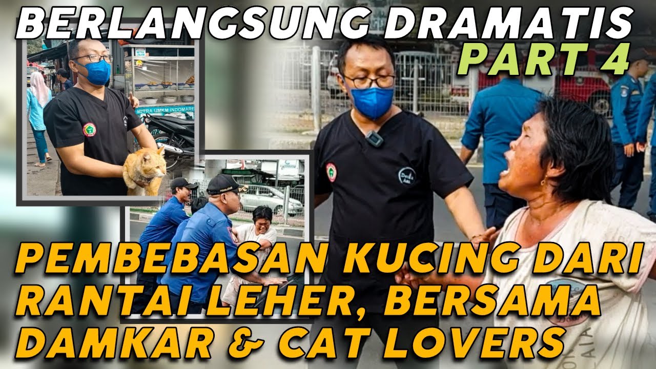 HAMPIR M4T1 ! L3H3R KUC1NG DIR4NT4I SECARA TAK WAJAR OLEH SEORANG OD*J