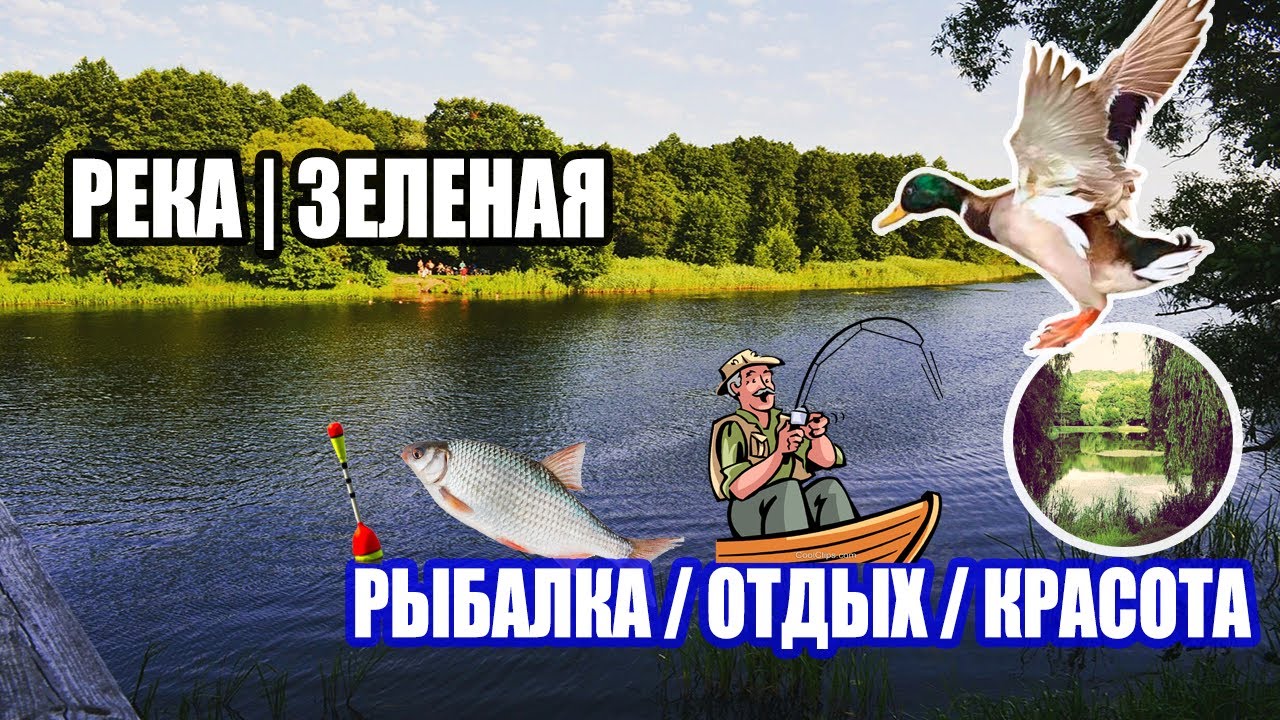 РЫБАЛКА НА РЕКЕ ЗЕЛЕНАЯ / ИСКРОВКА / ИНГУЛЕЦ / ДОЖДЬ / КЛЕВ #ингулец #искровка #рыбалка #отдых