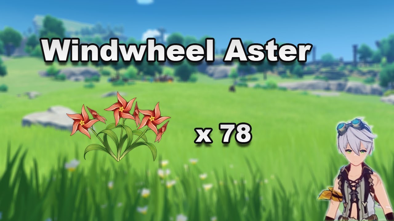Windwheel Aster Route - Genshin Impact