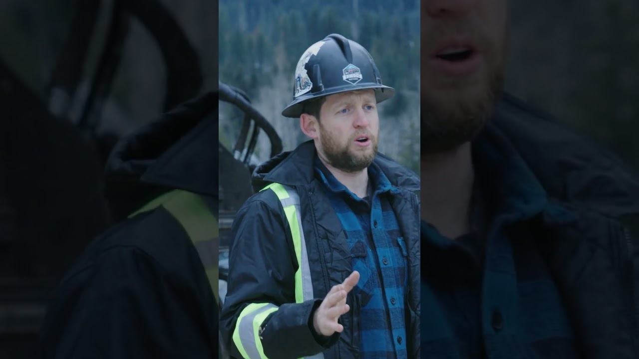 Log Loader vs Excavator - Key Differences Explained