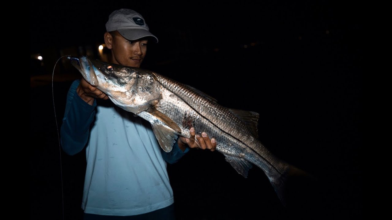 Огромный Tampa Bay SNOOk разгромил Purple Demon Paddle Tail