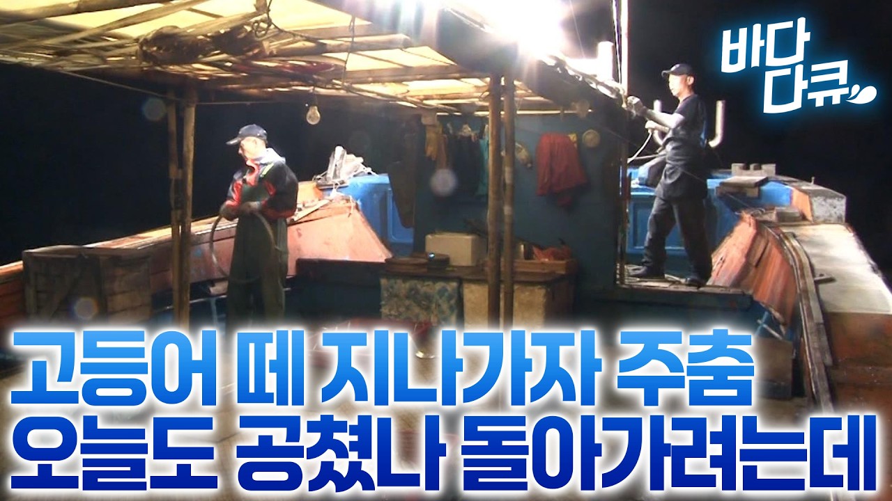 이 배에선 고등어가 불청객, 어업 방해하는 고등어 떼 지나가자 미친 듯이 올라오는 갈치/ #바다다큐