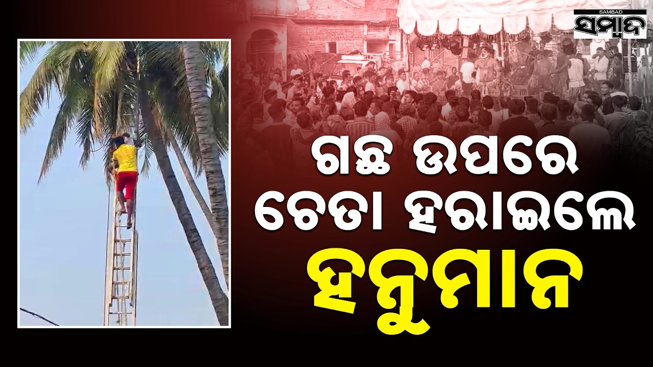 Ganjam: Hanuman Artist Rescued After Collapsing on Tree in Ganjam Festival || Sambad