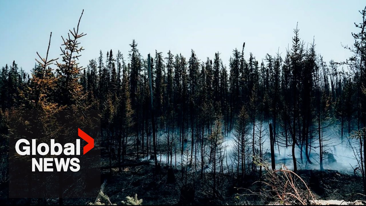 Quebec Wildfires: More than 11,000 people forced from their homes