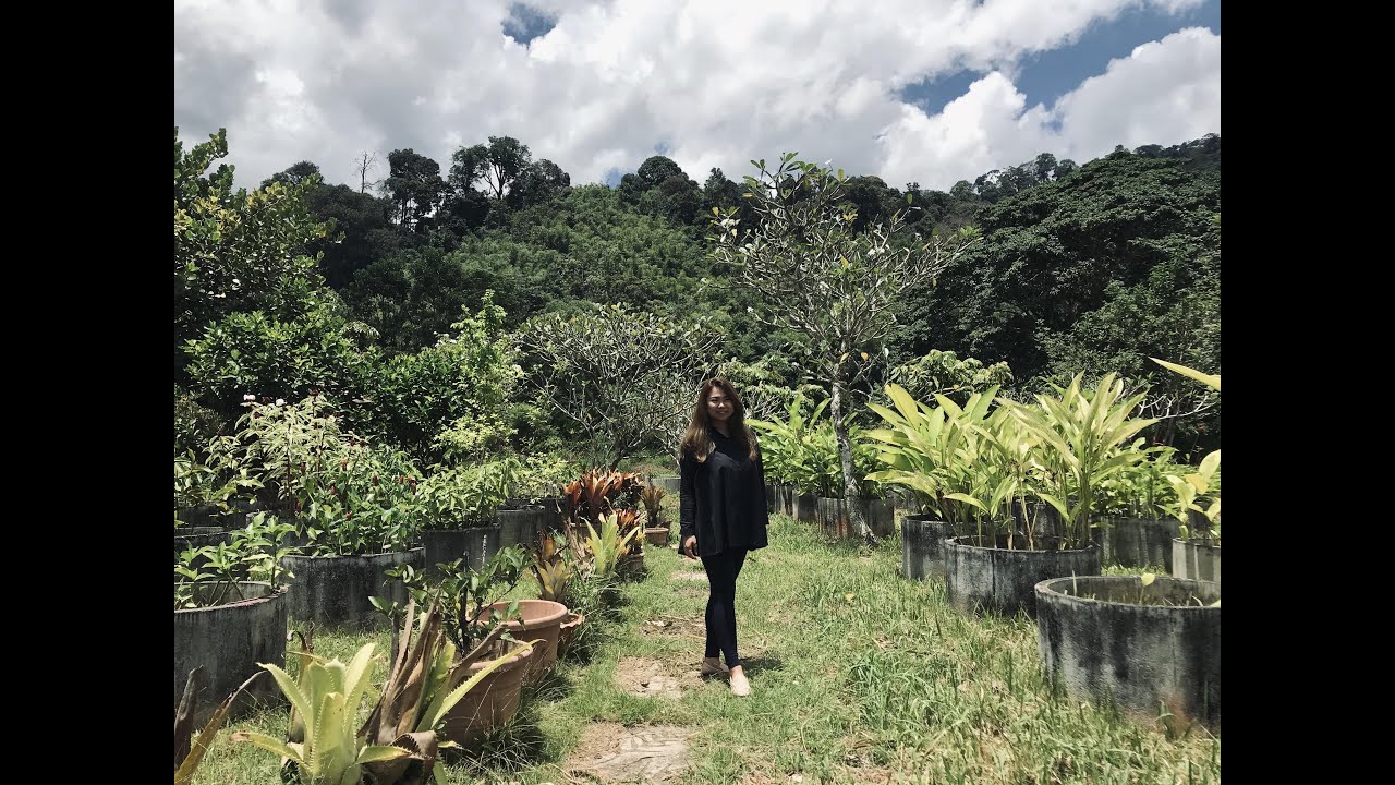 [VIBAY]EP1 马来西亚文冬第一个谷仓式的婚礼场地 First barn-style wedding venue at Bentong Malaysia-Jardin Event Venue⁣⁣