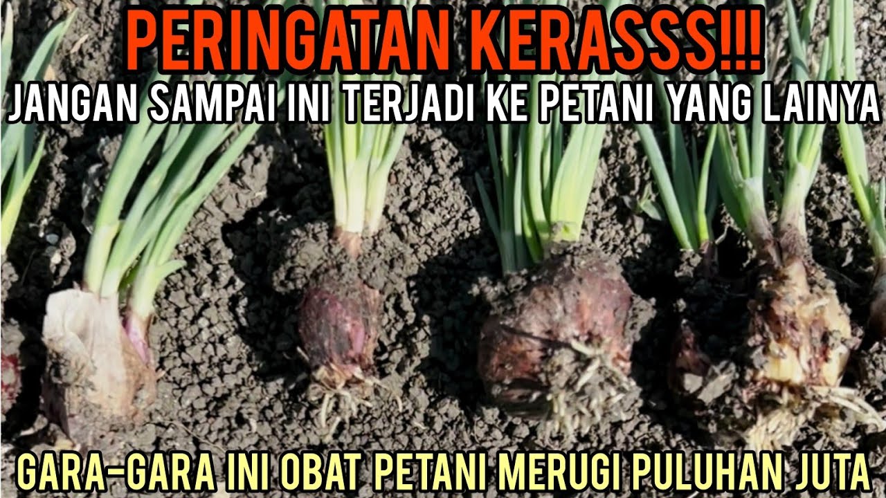LANGSUNG MENETESKAN AIR MATA MELIHAT VIDEO INI