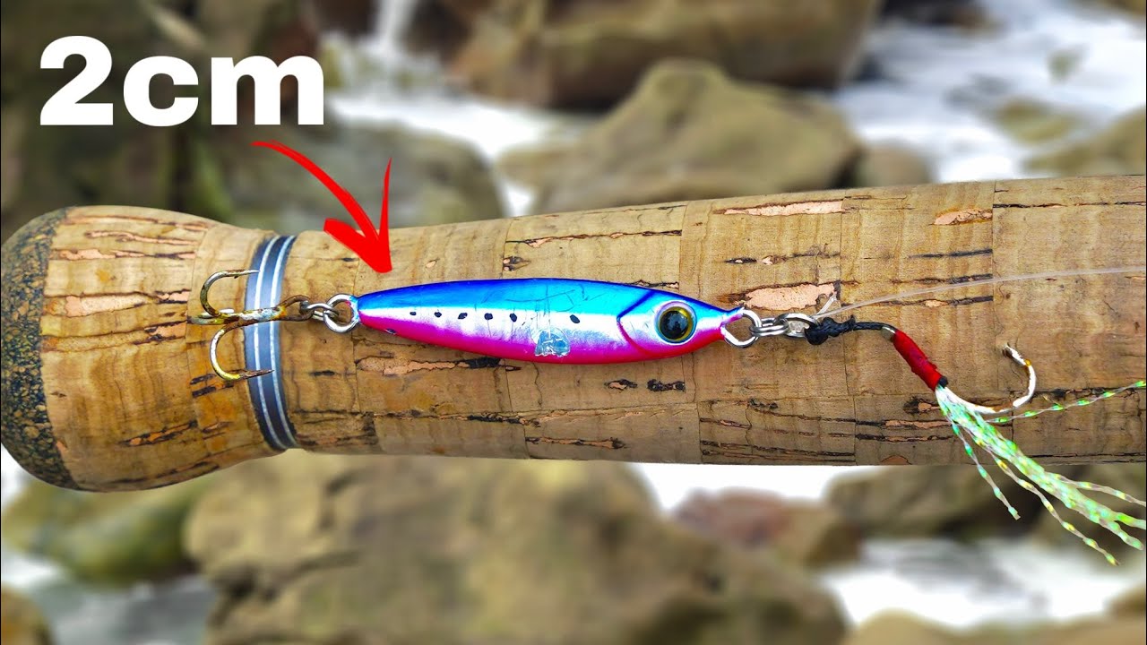 Micro Jig Fishing Challenge | How Many Fish Can I Catch?!