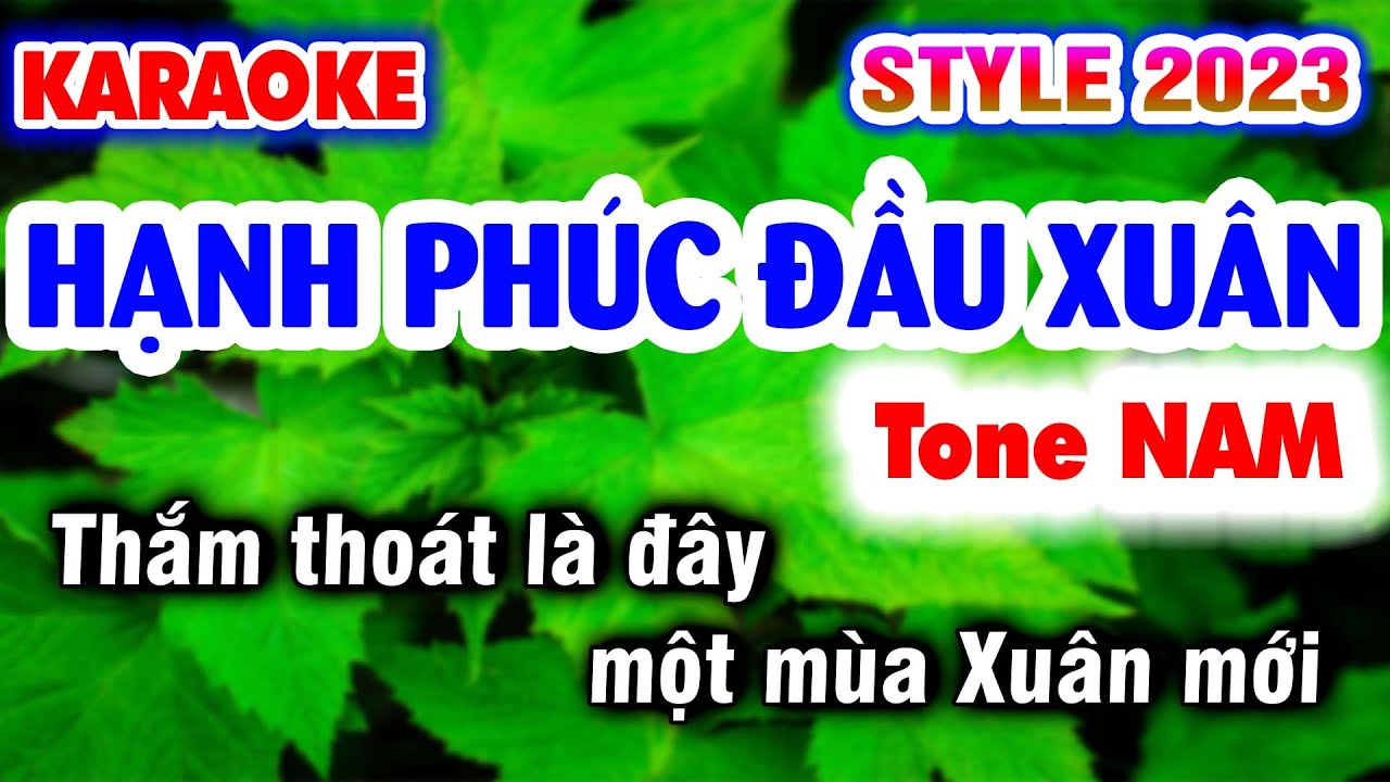Karaoke HẠNH PHÚC ĐẦU XUÂN Tone Nam - Karaoke Long Ẩn nhạc sống KLA 9669