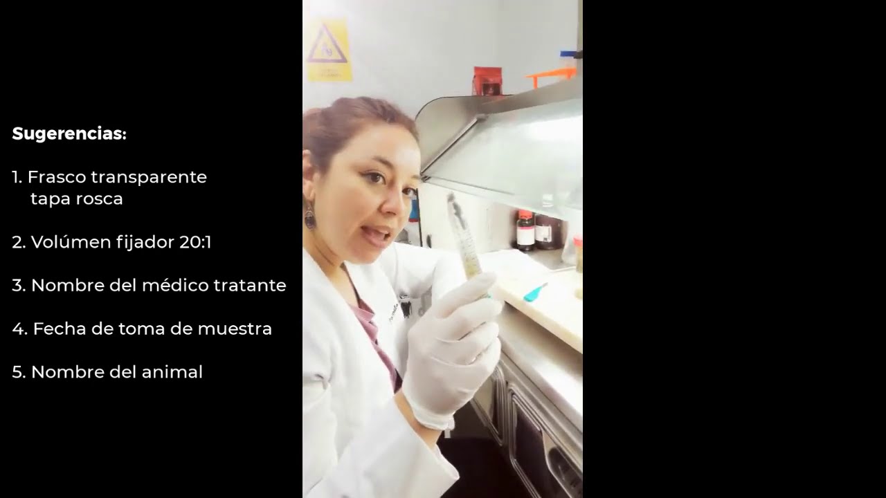 Técnica histológica