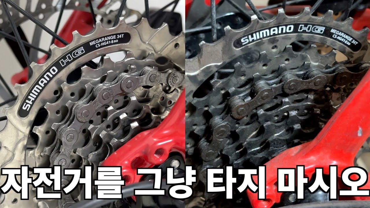 자전거를 그냥 타는건 방치하는것과 다를바 없는 이유