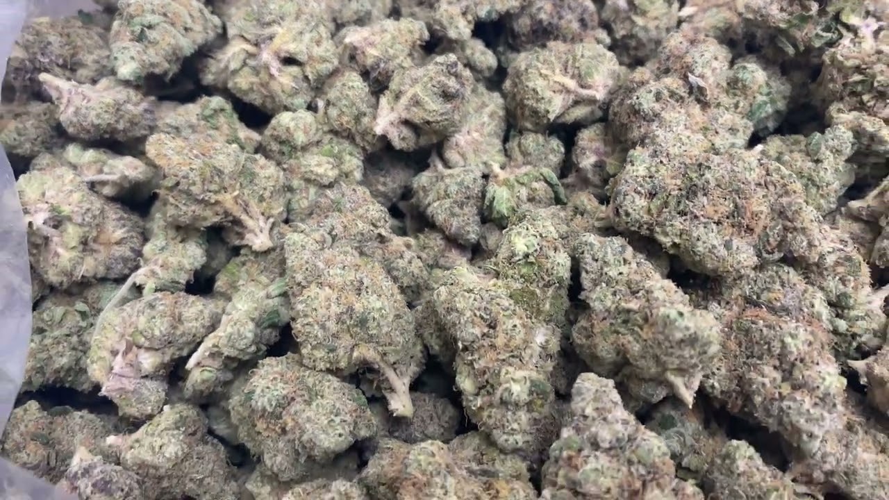 THCa Flower Pounds: Don Mega (Indoor)