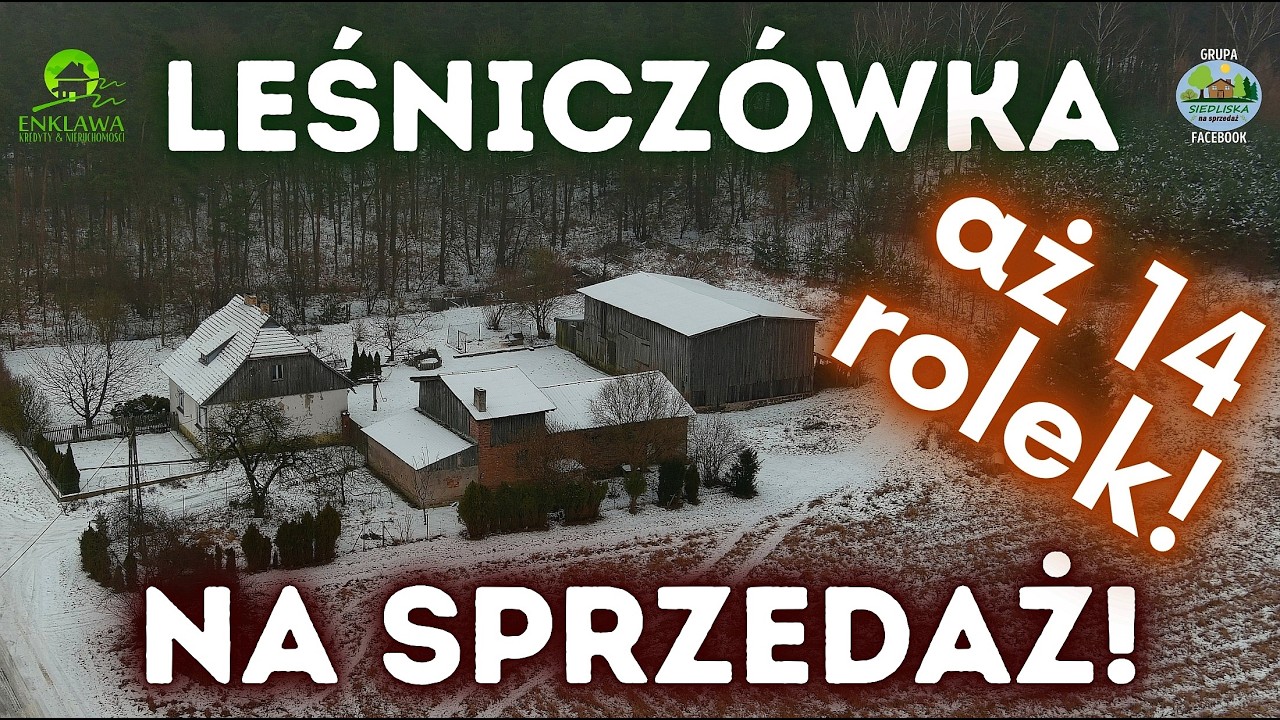 ENKLAWA prezentuje. Mały domek + LEŚNA działka. Podsumowanie 14 rolek prezentujących ofertę! Zobacz!