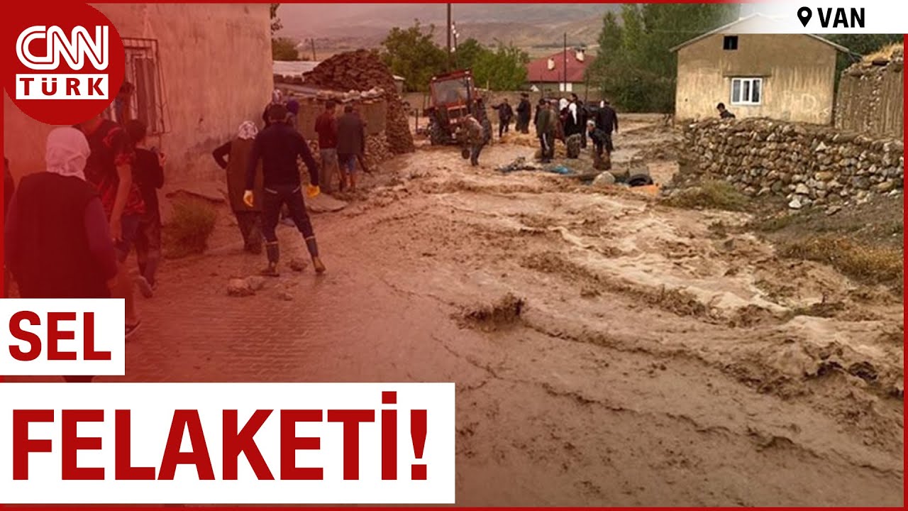 Van'da Yoğun Yağış Dereyi Taşırdı! 100'e Yakın Hayvan Telef Oldu, Ev Ahırları Su Bastı