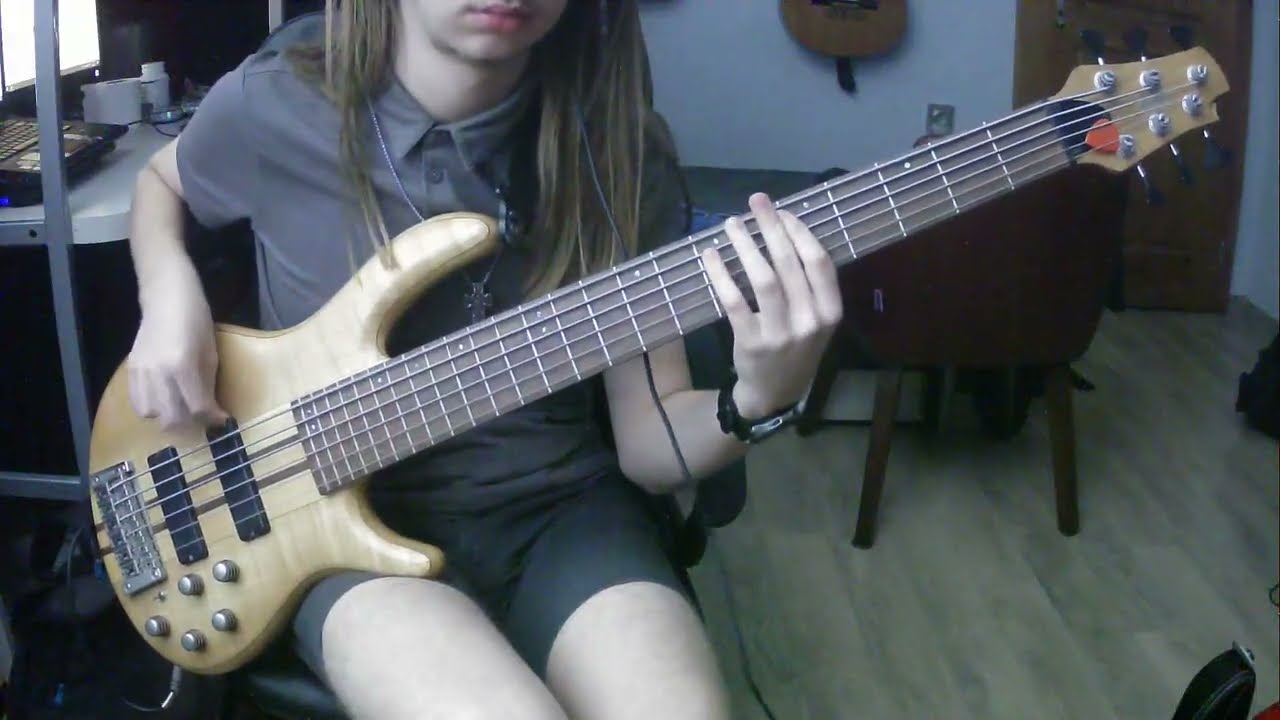 Liquid Tension Experiment - Acid Rain (Bass Cover)