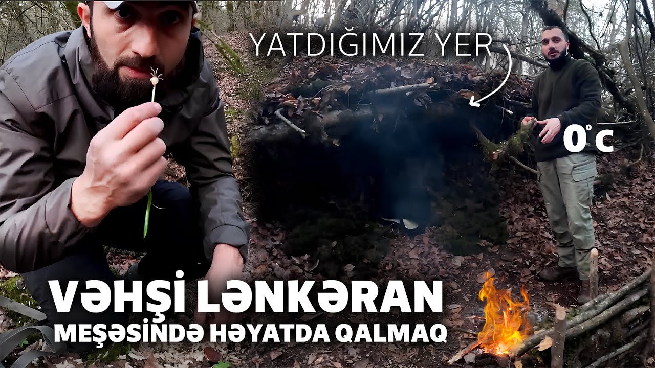 MEŞƏDƏ AZSAN NƏ ETMƏLİSƏN? (48 saat həyatda qalmaq) SAĞ QALANLAR