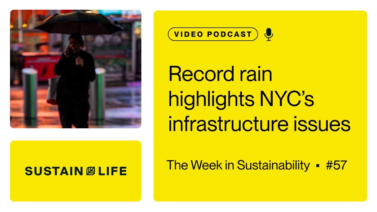 Record rain highlights NYC&rsquo;s infrastructure issues // The Week in Sustainability