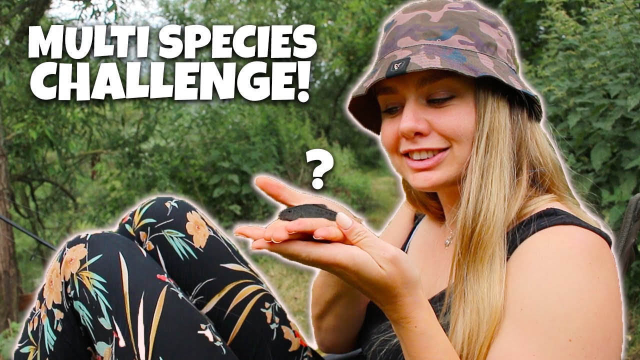 Multi-Species Feeder Challenge 1v1v1!