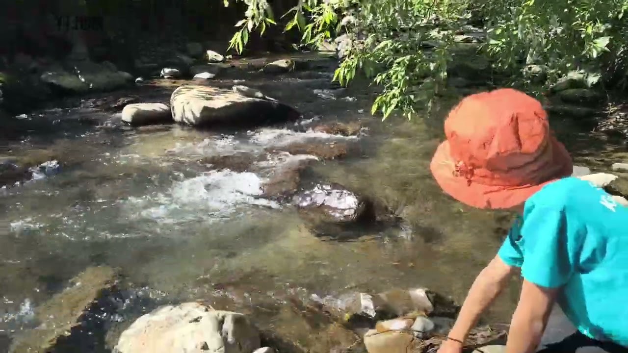 “Finding calm where the earth breathes freely.”