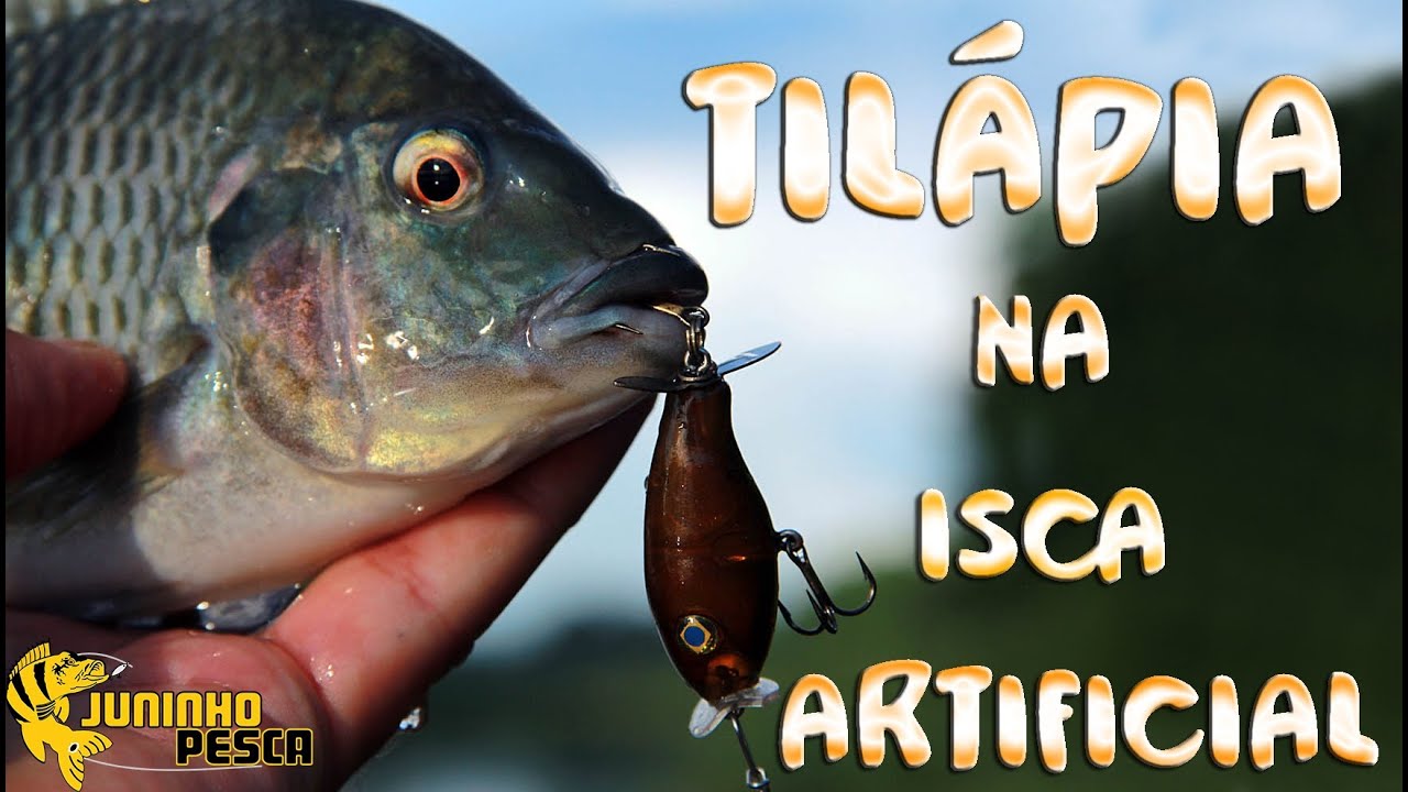 Ep. 4: Tilápia na Isca Artificial