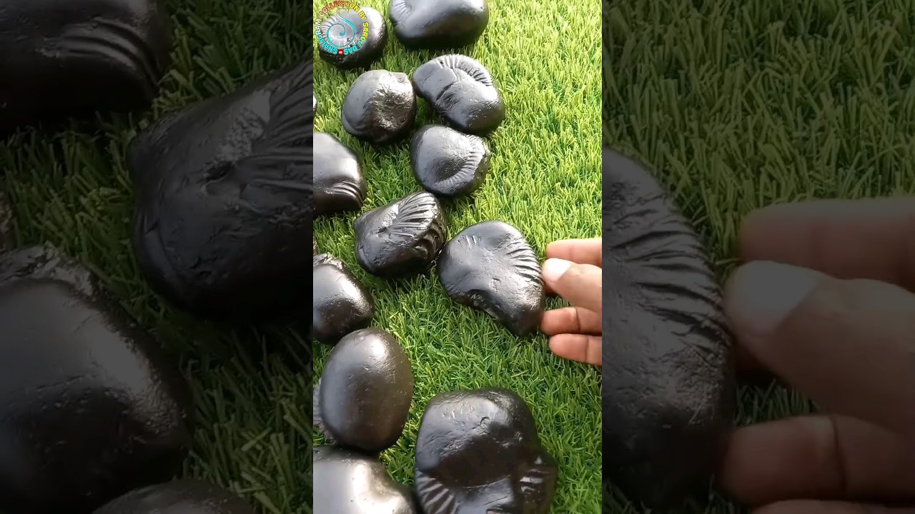different type of shaligram -  shaligram shila - gandaki river nepal  #shorts #short #shortsfeed