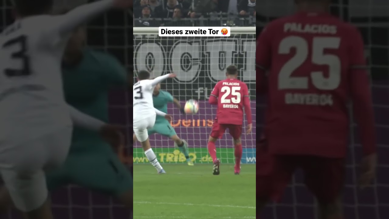 Lars Stindl mit dem Doppelpack gegen Bayer Leverkusen ☄️👏 #diefohlen