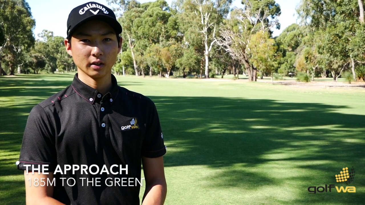 Min Woo's Guide to Melville Glades - The Second